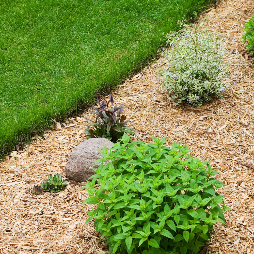 Shoreline-Pro-Lawn-edging