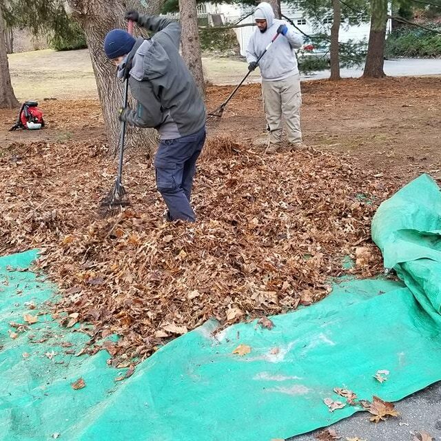 Shoreline-Pro fall clean-up